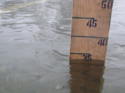 Из-за продолжающегося паводка почти половина воронежских пляжей закрыта до сих пор