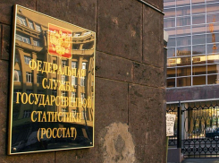 Воронежская область стала одним из самых трудолюбивых регионов России