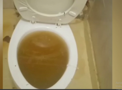 Вонь на 13 этажей: воронежский дом утопает в нечистотах