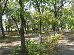 Бринкманский сад как ядро создания Привокзального поселка