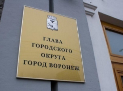 Как мэрия Воронежа сумела сэкономить почти 200 млн рублей