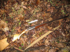 В Воронежском заповеднике поймали браконьера, убившего куницу