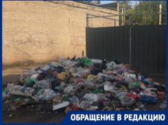 Протест воронежцев против закрытой мусорки обернулся грязным бедствием во дворе 