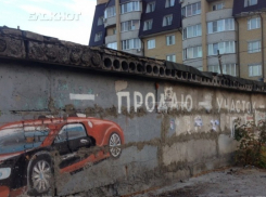 На участок земли, проданный чиновниками в центре Воронежа, наложили арест