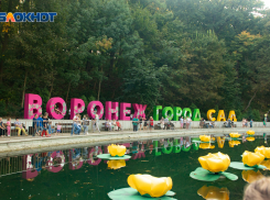 Covid-19 сэкономил бюджету 20 млн рублей на проведении международного фестиваля «Город-Сад» в Воронеже