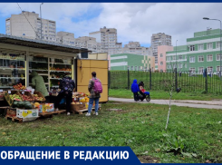 Рой киосков «окружил» школу в Воронеже 