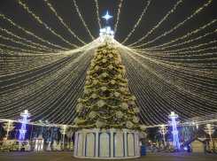 Новый год по инструкции: как будут работать главные праздничные площадки Воронежа