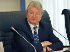 Финансовое неравенство из года в год показывают спикер горДумы Ходырев и его жена