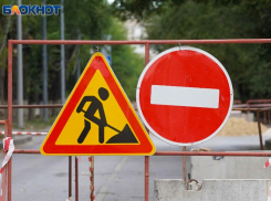 «Это ужасно»: воронежцы высказались о строительстве автомобильной дороги через парк 
