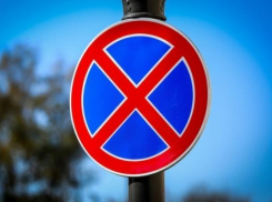 В Воронеже на проспекте Революции запретят парковаться