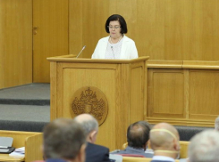 Омбудсмен Татьяна Зражевская обрадовала депутатов Воронежской областной Думы