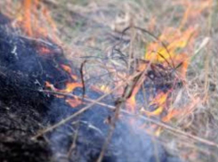 Высший класс пожарной опасности установился в Воронежской области