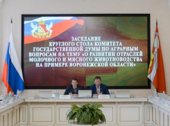 Воронежский губернатор сказал, что надо увеличить финансирование сельской социальной инфраструктуры