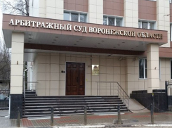 Сделки «Воронежавтодора» по недвижимости  попробуют признать недействительными