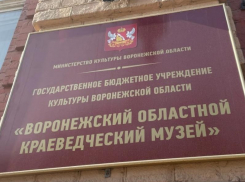 Воронежский прокурор подал иск против областного краеведческого музея