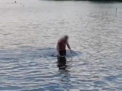 Отвязный заплыв устроил мужчина в воронежском парке