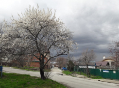 Дожди с грозами зальют Воронеж и область 