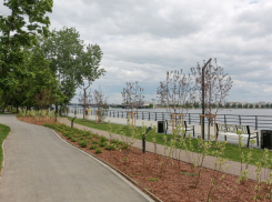 Новый «умный» мегапроект за 111 млн рублей задумали на Петровской набережной