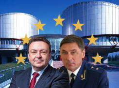 Воронежские адвокаты впустую победили Николая Шишкина в ЕСПЧ