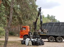 Никому нет до него дела: толпа воронежцев собралась в популярном парке ради благого дела