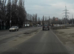 Инфографика: как воронежцы относятся к переименованию улицы Волгоградской