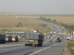 В Воронежскую область ввезли 21 тысячу килограммов нелегальной пшеницы