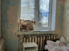 Отделение воронежской больницы превратилось в декорации для фильмов ужасов 