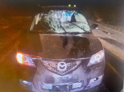 Пьяного пешехода сбил водитель Mazda на воронежской дороге 