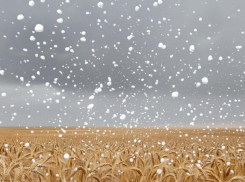 Дойдет ли подгоренский град до Воронежа? 