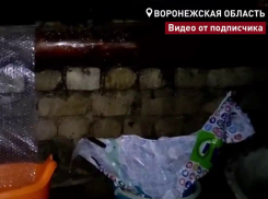 Видео с инфернальным дырявым домом записали воронежские общественники