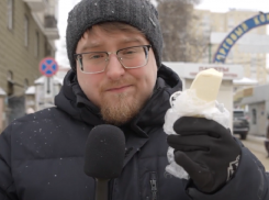 Способ избавления от пальмовой жути в молочных продуктах предложили президенту России воронежские активисты 