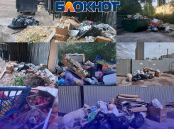 «Одна организация кивает на другую»: контейнеры в два ряда, гнилые овощи с рынка и полугодовая свалка на Коммунаров