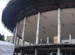 Пристройку для содержания животных возведут для Воронежского цирка