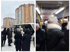 «Простите за плохие новости»: общественники назвали причину коллапса на дорогах в Воронеже