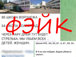 Готовящийся теракт в воронежской школе назвали фейком