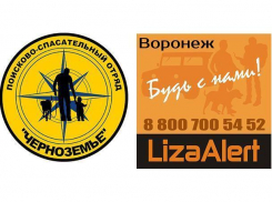 «Тихая война» началась между поисковыми отрядами Воронежа