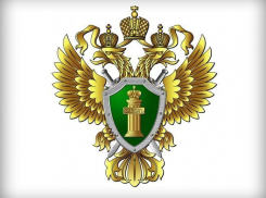 Воронежца за уклонение от административного надзора привлекли к ответственности