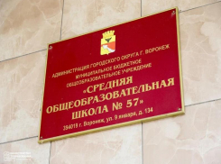 «Напоили чаем, угостили бананом»: воронежской выпускнице стало плохо во время ЕГЭ по русскому языку