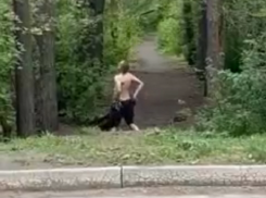 «Еее! Я уважаю!»: странный танец мужчины, подтягивающего шорты, сняли на видео в Воронеже 