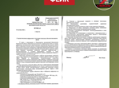 Фейковые проверки жилых домов напугали воронежцев