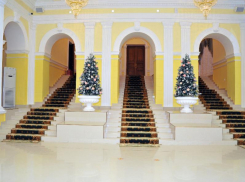 Отремонтированный Дворец бракосочетания показали на фото в Воронеже 