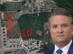 Мэрия Вадима Кстенина подтвердила застройку яблоневого сада высотками