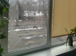 Школьное окно разрезало голову ученику под Воронежем