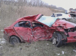 В Калачеевском районе 4 человека погибли при столкновении двух иномарок