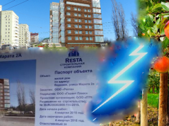 Мэрия Воронежа повторяет «историю яблоневых садов» на Чижовке