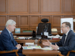 Чем похвастался поворинский префект воронежскому губернатору Гусеву 