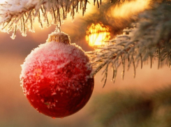 Чем воронежским политикам запомнился уходящий 2013 год? (Продолжение)