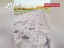 Асфальта вообще нет: ямы съели дорогу в Воронежской области