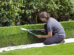 Сколько готовы платить выносливым садовникам в Воронеже