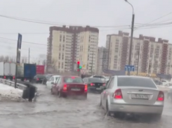 «Завтра поеду покупать каноэ»: воронежская улица ушла под воду 